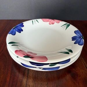 Vintage Furio Jewflora 8 Inch Salad Plates Made in Italy, Set of 3